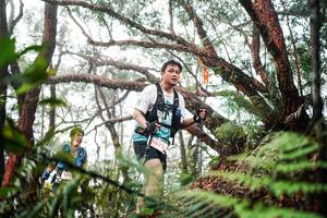 BIB: 
                            <button type="button" onclick="openModal(26298500)" class="btn btn-primary btn-sm float-right btn-popup" data-toggle="modal" data-target=".modal-high-quality">
                        <i class="fas fa-shopping-cart"></i> Add to Cart
                    </button>
                                            <button type="button" onclick="isThisMe(26298500, true)" class="btn btn-success btn-sm float-right btn-popup btn-isme hidden" data-toggle="tooltip" data-placement="bottom" title="นี่คือรูปของคุณใช่ไหม คลิกที่นี่เพื่อเอาเข้าอัลบั้ม">
                        <i class="fas fa-plus"></i> Add to album
                    </button>
                    <button type="button" onclick="isThisMe(26298500, false)" class="btn btn-warning btn-sm float-right btn-popup btn-isnotme hidden">
                        <i class="fas fa-ban"></i> Remove from album
                    </button>